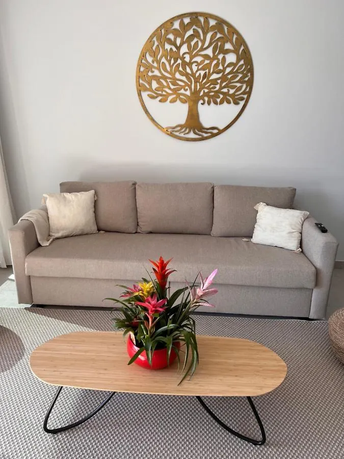 Tropical Penthouse With Big Roof Terrace Apartment Malaga Spain