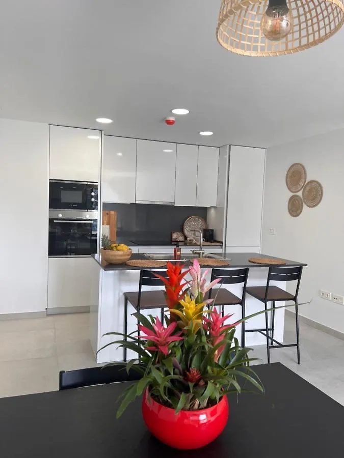 Tropical Penthouse With Big Roof Terrace Apartment Malaga 0*,  Spain